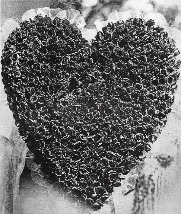 Heart made of roses from Dimaggio to Monroe funeral Heart made of roses from Dimaggio to Monroe funeral