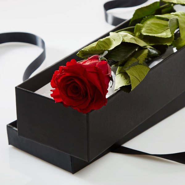 Joe DiMaggio Marilyn Monroe roses Joe DiMaggio Marilyn Monroe roses