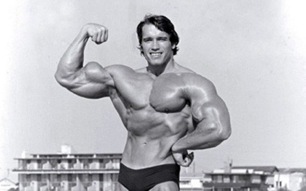 Arnold Schwarzenegger has made an enviable career