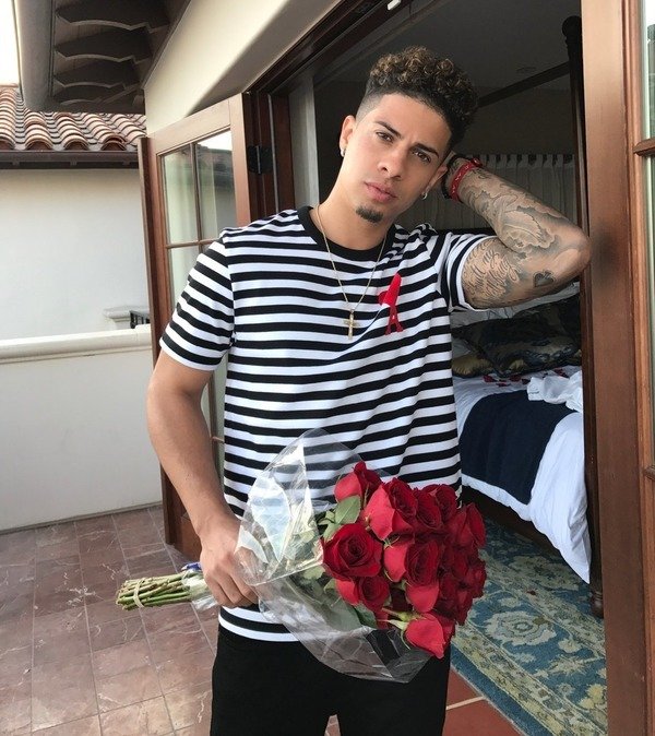 Austin McBroom biography